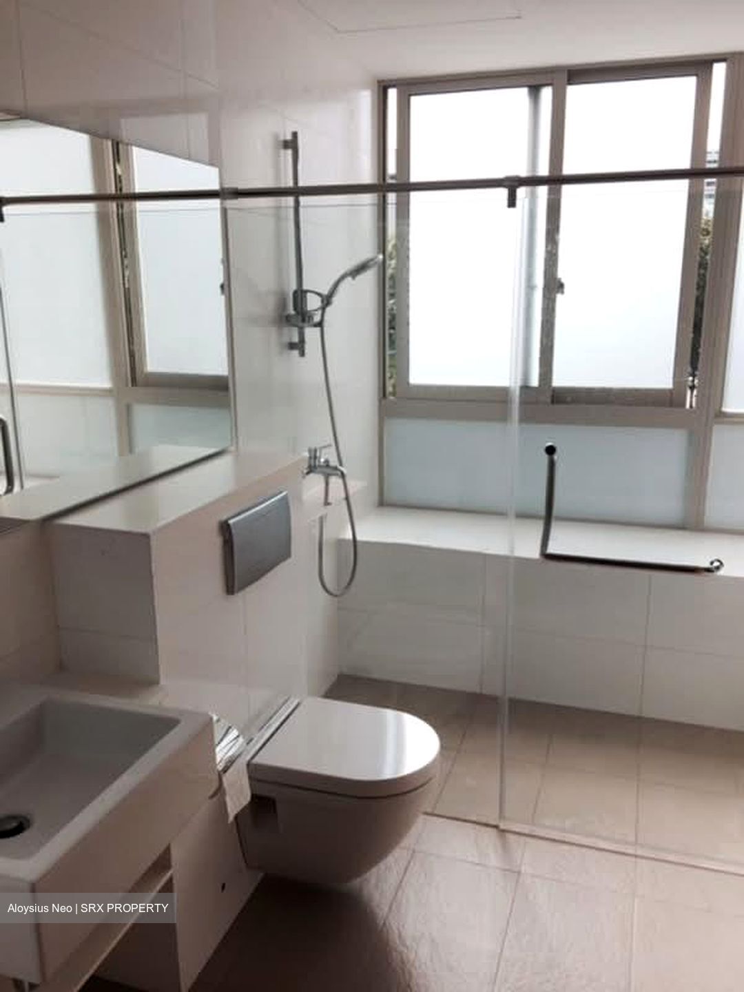 Idyllic East (D16), Apartment #575831811